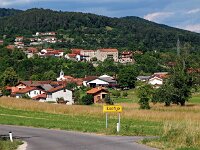 SLO, Obalnokraska, Divaca, Skoflje 2, Saxifraga-Hans Dekker