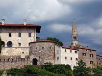 SLO, Primorska, Komen, Stanjel 2, Saxifraga-Hans Dekker