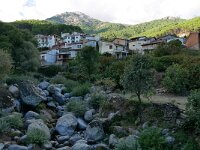 E, Avila, Guisando 18, Saxifraga-Tom Heijnen