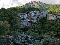 E, Avila, Guisando 19, Saxifraga-Tom Heijnen