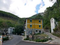 E, Avila, Guisando 21, Saxifraga-Tom Heijnen