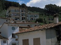 E, Avila, Guisando 8, Saxifraga-Jan van der Straaten