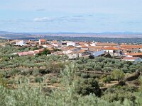 E, Caceres, Madronera 2, Saxifraga-Tom Heijnen