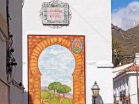 E, Malaga, Alora 8, Saxifraga-Hans Dekker