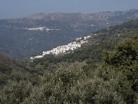 E, Malaga, Jubrique 7, Saxifraga-Willem van Kruijsbergen