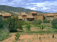 E, Teruel, Riodeva, El Campo 1, Saxifraga-Jan van der Straaten