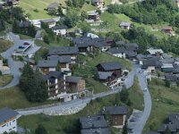 CH, Wallis, Albinen 2, Saxifraga-Willem van Kruijsbergen