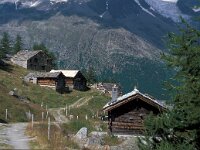 CH, Wallis, Saas-Grund, Trift 2, Saxifraga-Jan van der Straaten