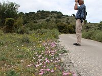 GR, Ionia Nisia, Lefkas, Agios Donatus 1, Saxifraga-Foto Fitis-Sytske Dijksen