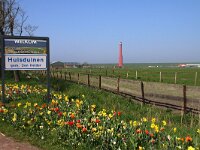 NL, Noord-Holland, Den Helder, Huisduinen 1, Saxifraga-Foto Fitis-Sytske Dijksen