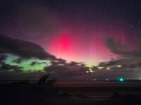 NL, Friesland, Vlieland, Aurora borealis 1, Saxifraga-Bart Vastenhouw