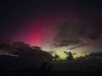 NL, Friesland, Vlieland, Aurora borealis 2, Saxifraga-Bart Vastenhouw