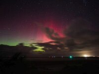 NL, Friesland, Vlieland, Aurora borealis 4, Saxifraga-Bart Vastenhouw