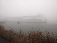 NL, Noord-Holland, Mist, Texel 103, Saxifraga-Foto Fitis-Sytske Dijksen