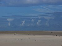 NL, Noord-Holland, Texel, Castle clouds, Noorderhaaks 22, Saxifraga-Foto Fitis-Sytske Dijksen