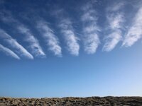 NL, Noord-Holland, Texel, Cloud street, Paal 76, Saxifraga-Foto Fitis-Sytske Dijksen