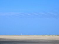 NL, Noord-Holland, Texel, Helmholzclouds, De Hors 114, Saxifraga-Foto Fitis-Sytske Dijksen