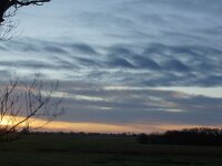 NL, Noord-Holland, Texel, Helmholzclouds, De Hors 115, Saxifraga-Foto Fitis-Sytske Dijksen