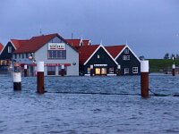 NL, Noord-Holland, Texel, Inundation, Oudeschild 27, Saxifraga-Foto Fitis-Sytske Dijksen