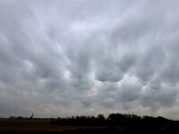 NL, Noord-Holland, Texel, Mammatusclouds, De Hors 7, Saxifraga-Foto Fitis-Sytske Dijksen
