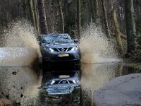 NL, Noord-Holland, Texel, Nattevlakweg 2, Saxifraga-Foto Fitis-Sytske Dijksen