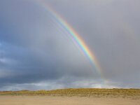 NL, Noord-Holland, Texel, Rainbow, De Hors 197, Saxifraga-Foto Fitis-Sytske Dijksen