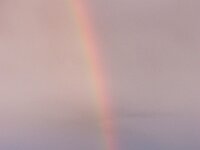 NL, Noord-Holland, Texel, Rainbow, Rommelpot 20, Saxifraga-Foto Fitis-Sytske Dijksen