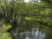B, Liege, Plombieres, Gueule 1, Saxifraga-Willem van Kruijsbergen