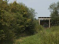 B, Limburg, Kinrooi, Smeetshof 36, Saxifraga-Marijke Verhagen