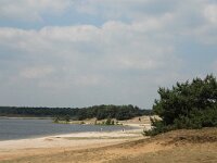 B, Limburg, Lommel, Sahara 20, Saxifraga-Jan van der Straaten