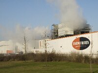 B, Limburg, Lommel, Sahara 25, Saxifraga-Jan van der Straaten