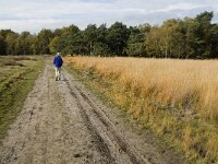 B, Limburg, Neerpelt, Hageven 7, Saxifraga-Jan van der Straaten 1