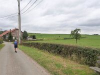 B, Limburg, Voeren, Graef bij Remersdaal 2, Saxifraga-Tom Heijnen