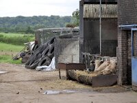 B, Limburg, Voeren, Graef bij Remersdaal 4, Saxifraga-Tom Heijnen
