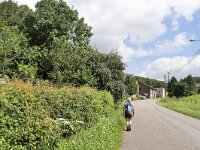 B, Limburg, Voeren, Krindaal 1, Saxifraga-Tom Heijnen