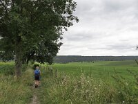B, Limburg, Voeren, Mostert 2, Saxifraga-Tom Heijnen