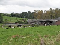 B, Limburg, Voeren, Remersdaal 17, Saxifraga-Tom Heijnen
