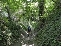 B, Limburg, Voeren, naar Krindaal 1, Saxifraga-Tom Heijnen