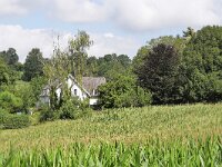 B, Limburg, Voeren, naar Krindaal 2, Saxifraga-Tom Heijnen