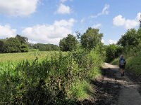 B, Limburg, Voeren, naar Krindaal 3, Saxifraga-Tom Heijnen