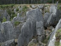 B, Namur, Viroinval, Fondry des Chiens 11, Saxifraga-Willem van Kruijsbergen