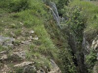 B, Namur, Viroinval, Fondry des Chiens 13, Saxifraga-Willem van Kruijsbergen