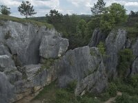 B, Namur, Viroinval, Fondry des Chiens 14, Saxifraga-Willem van Kruijsbergen