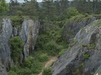 B, Namur, Viroinval, Fondry des Chiens 15, Saxifraga-Willem van Kruijsbergen