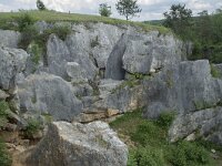 B, Namur, Viroinval, Fondry des Chiens 17, Saxifraga-Willem van Kruijsbergen