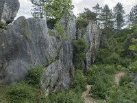 B, Namur, Viroinval, Fondry des Chiens 18, Saxifraga-Willem van Kruijsbergen