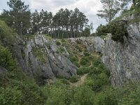 B, Namur, Viroinval, Fondry des Chiens 23, Saxifraga-Willem van Kruijsbergen