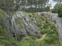 B, Namur, Viroinval, Fondry des Chiens 24, Saxifraga-Willem van Kruijsbergen