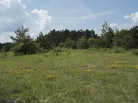 B, Namur, Viroinval, Fondry des Chiens 3, Saxifraga-Willem van Kruijsbergen