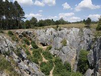 B, Namur, Viroinval, Fondry des Chiens 31, Saxifraga-Willem van Kruijsbergen